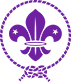 World Scout Emblem and 12th Caulfield Scout Group